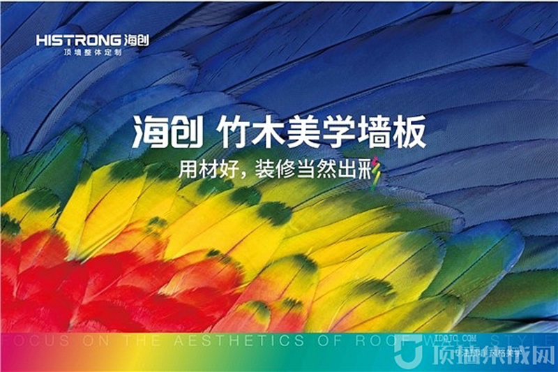 菲彩国际集成墙面.jpg