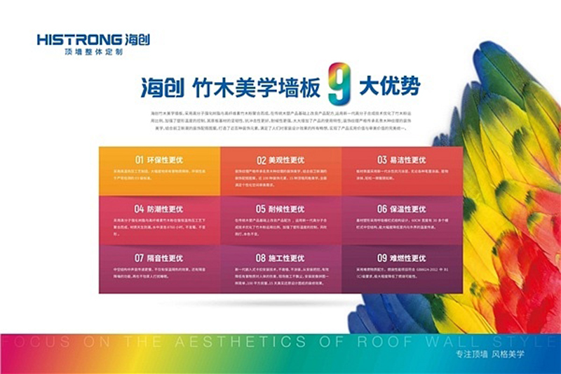 菲彩国际集成墙面.jpg